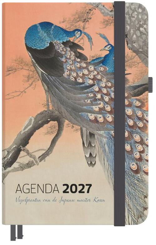 Agenda 2027