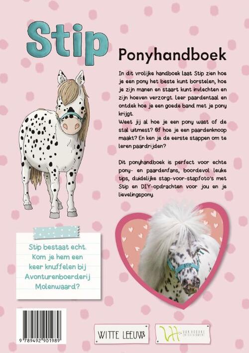 Ponyhandboek