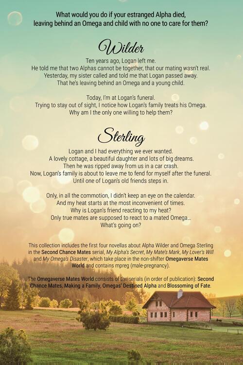 Second Chance Mates Collection 1