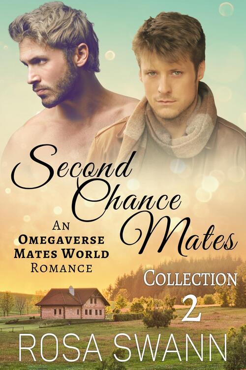 Second Chance Mates Collection 2