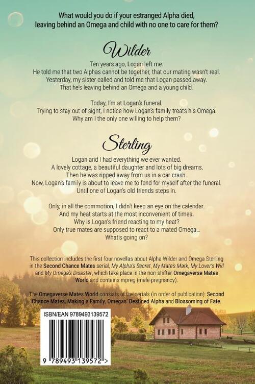 Second Chance Mates Collection 1