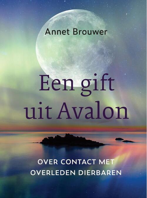 Vleugels Haat Doordeweekse dagen Een gift uit Avalon, Annet Brouwer | Boek | 9789493175846 | Bruna