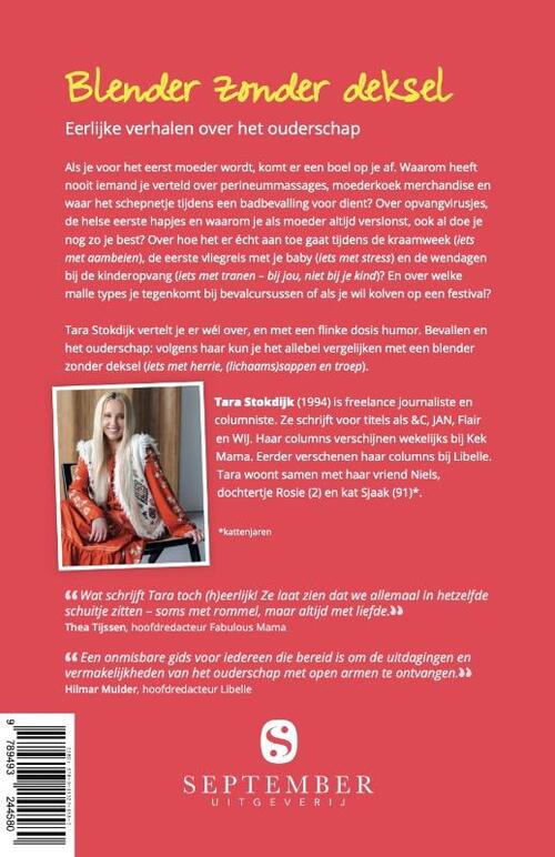 Blender zonder deksel