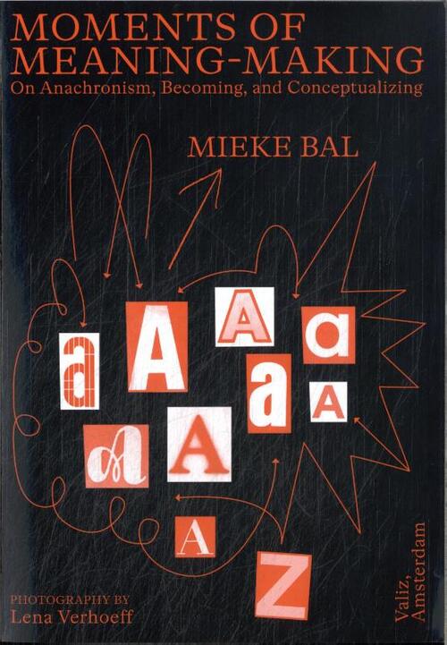 Moments of Meaning-Making