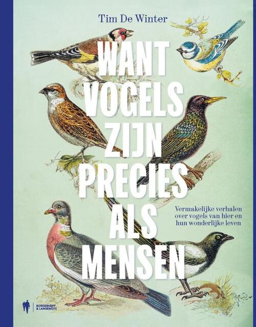 Want vogels zijn precies als mensen
