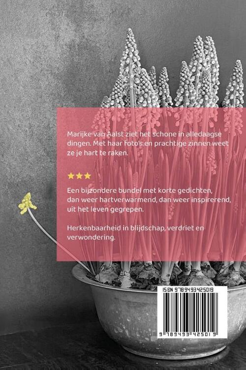 In ieder beeld huist een stem