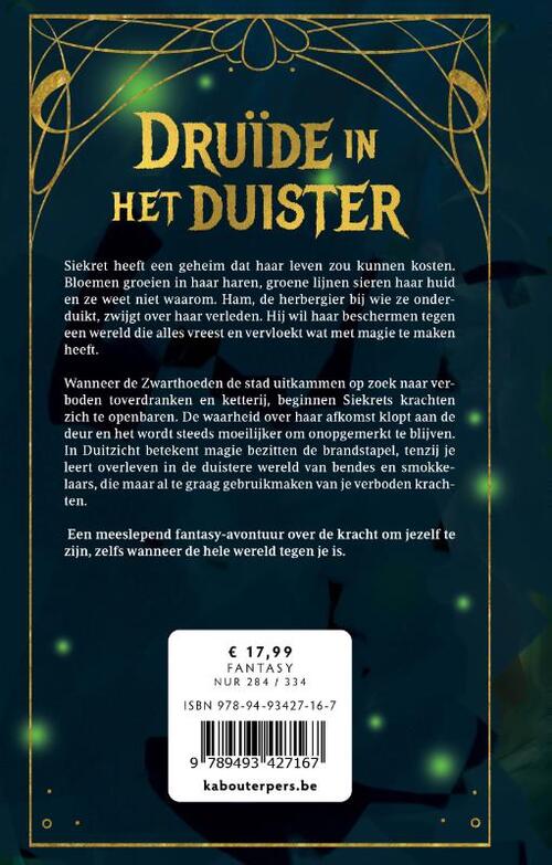 Druïde in het duister