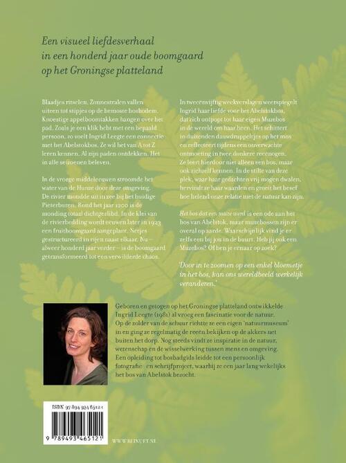 Het bos dat een muze werd