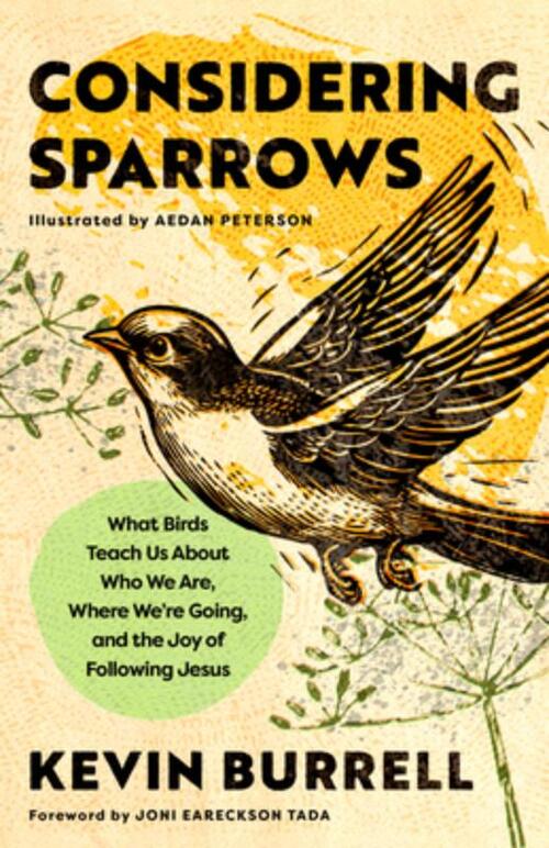 Considering Sparrows