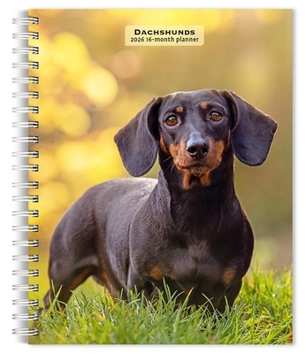 Dachshunds 2026 Engagement Diary