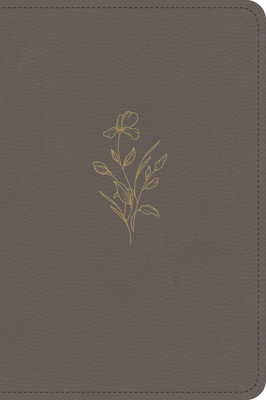 KJV Large Print Compact Reference Bible, Clay Leathertouch