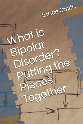What is Bipolar Disorder? Putting the Pieces Together