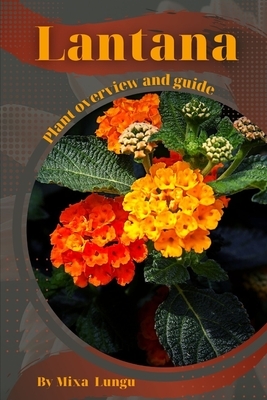 Lantana: Plant overview and guide