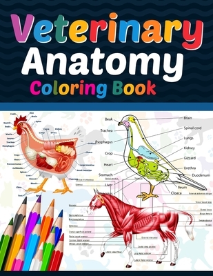 Veterinary Anatomy Coloring Book