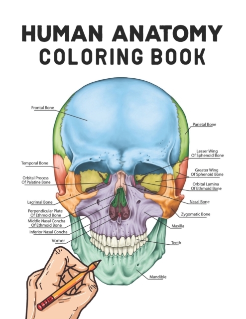 Human Anatomy Coloring Book