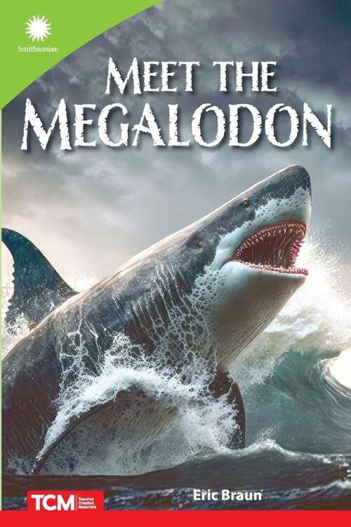 Meet the Megalodon