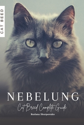 Nebelung: Cat Breed Complete Guide