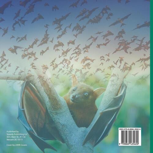 How Does Echolocation Work? Science Book 4th Grade | Children's Science & Nature Books