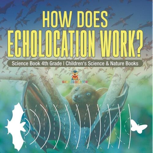 How Does Echolocation Work? Science Book 4th Grade | Children's Science & Nature Books