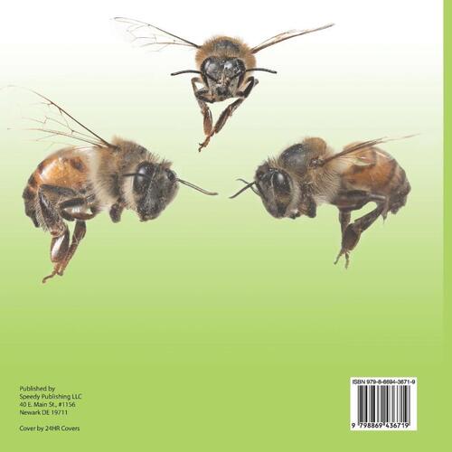 Crawl, Bite & Sting! Deadly Insects | Insects for Kids Encyclopedia | Children's Bug & Spider Books
