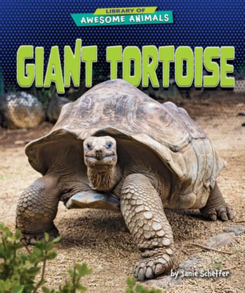 Giant Tortoise