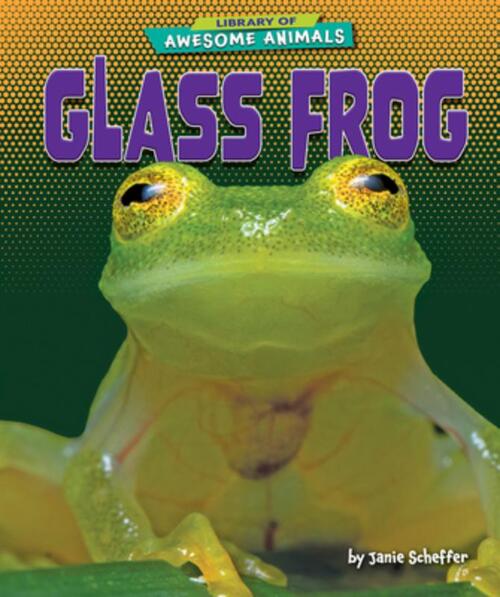 Glass Frog