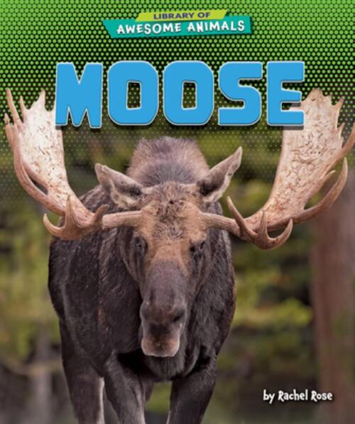 Moose