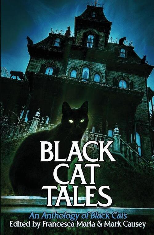 A Black Cat Tales