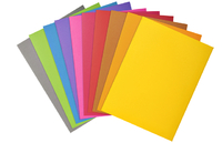 Vouwmap Exacompta Rock's A4 80G Assorti 100 Stuks