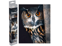 Diamond Painting - Owl, 40X50CM