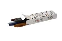 Brushpen Pentel Sign Ses15C City Crush Assorti Doos À 6 Stuks