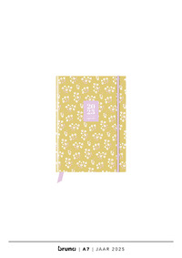 Agenda 2025 A7 - CF Miniflower