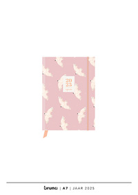 Agenda 2025 A7 - CF Birds