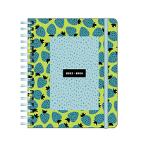 Schoolagenda 2025 B5Planner Trend Strawb Spot&Elast FSC