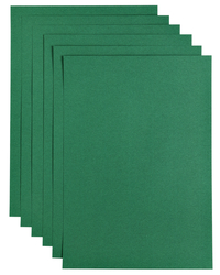 Kopieerpapier Papicolor A4 100GR 12Vel Dennengroen