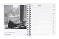 Collectie Maria Austria Instituut weekagenda 2026