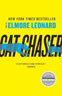 Cat Chaser