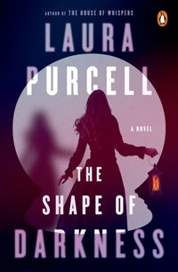 Shape of Darkness