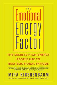 The Emotional Energy Factor
