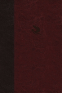 NKJV, Spirit-Filled Life Bible, Third Edition, Leathersoft, Burgundy, Thumb Indexed, Red Letter, Comfort Print