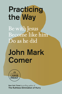 Comer, J: Practicing the Way