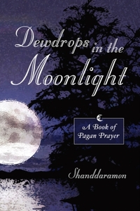 Dewdrops In The Moonlight