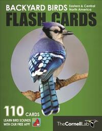 Backyard Birds Flash Cards - Eastern & Central North America