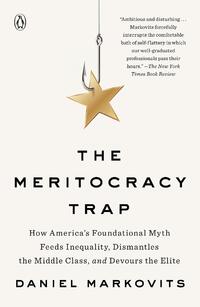Meritocracy Trap