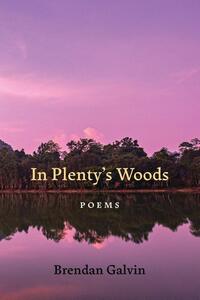 In Plenty's Woods