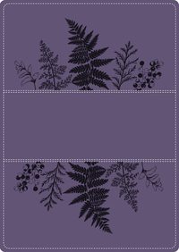 A Young Woman After God`s Own Heart Bible