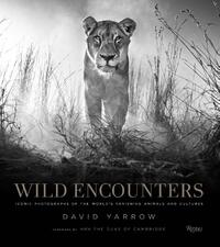 Wild encounters