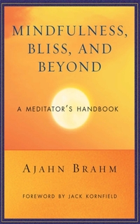 Mindfulness Bliss and Beyond