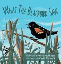 What the Blackbird Saw