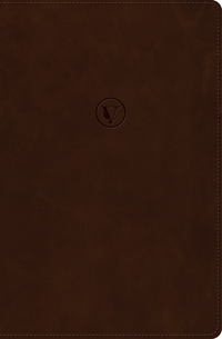 RVR 1960 Biblia de Estudio de Cesar Vidal, Cafe Simil Piel